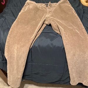 brow banana republic pants
